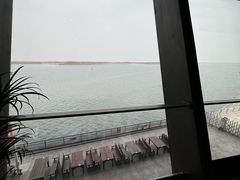 -抱抱地球咖啡馆(国家海洋博物馆店)