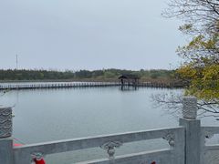 -溱湖国家湿地公园