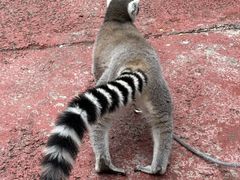 -水上乐园·欢乐世界