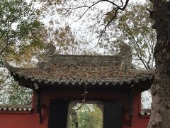 -白帝城·瞿塘峡景区
