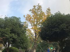 -哈根达斯(宁波和义店)