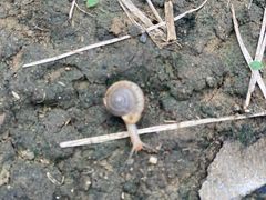 -南昌之星游乐场