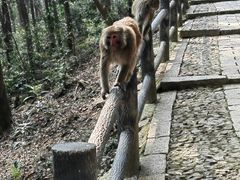 -苏州上方山国家森林公园