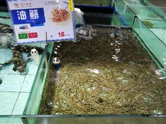 -渔民新村(番禺总店)