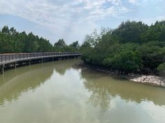 -东寨港红树林旅游区