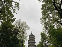 -灵谷景区