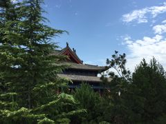 -大槐树寻根祭祖园