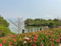 -深圳湾公园(南山区)