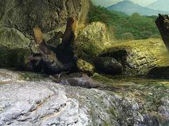 -暹罗海洋世界