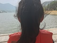 -杨家寨