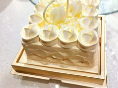 -BLACKSWAN黑天鹅(环球店)