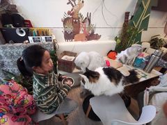 -小时光咖啡馆(北锣鼓巷店)