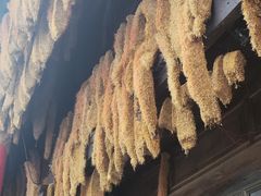 -恩阳古镇