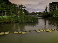 -飞凤山奥体公园