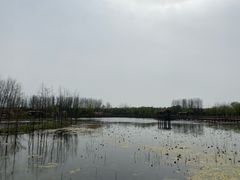 -溱湖国家湿地公园
