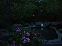 -楼观道温泉酒店