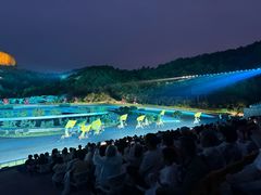 -鼎盛王朝康熙大典实景演出