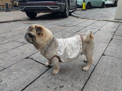 -甜嘟嘟烘焙坊(舒城路店)