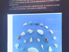 -浙江自然博物院(杭州馆)