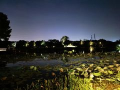 -铭莲·八卦田水上餐厅
