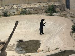 -石家庄市动物园