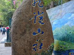 -西双版纳原始森林公园