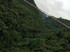 -川西竹海景区