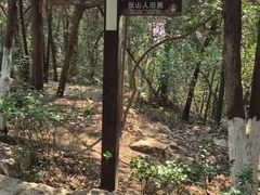 -云龙山