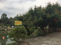 -溪悦渔庄(九龙湖店)