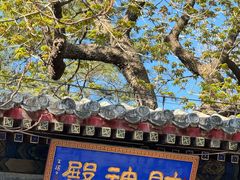 -潭柘寺景区