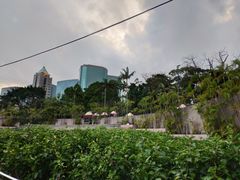 -九龙公园