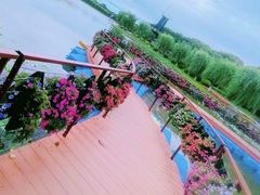 -上海鲜花港