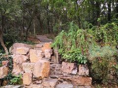 -金陵矩阵(聚宝山公园店)