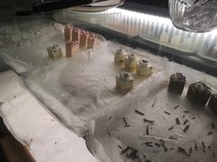 -小鱼小牛·鱼牛干锅·脆鱼火锅(世欧广场店)