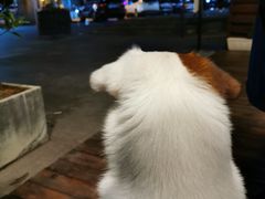-Laures·月桂西班牙碳烤餐厅(十尚坊店)