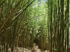 -井空里大峡谷