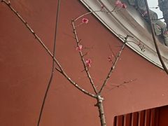 -望江楼公园