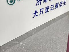 -心仪动物医院·牙专科·肿瘤·心脏科(西客站院)