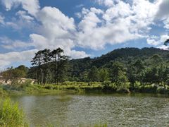 -海南热带雨林国家公园吊罗山景区