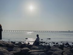 -宝安西湾红树林湿地公园