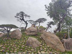 -罗红摄影艺术馆