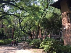 -中山大学学者灵芝(园南路店)