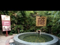 -仁爱团泊湖温泉中心