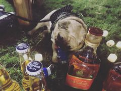 -思念果岭悦温泉