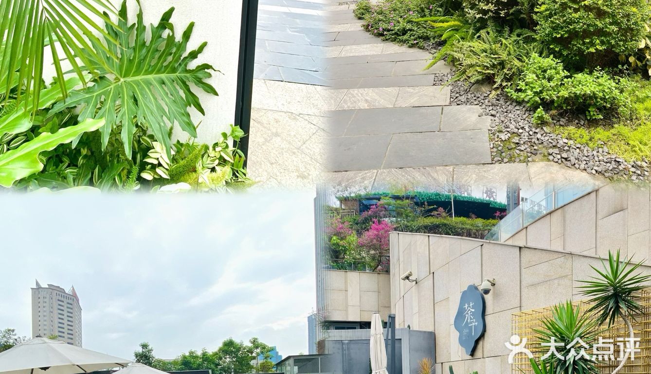 变身爱丽丝🧚‍♀️喝一次绿野仙踪的下午茶