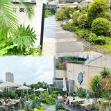 变身爱丽丝🧚‍♀️喝一次绿野仙踪的下午茶