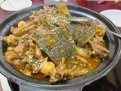 -火焰金龟甲(汉阳江滩旗舰店)