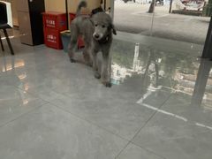 -贝利宠物医院·骨科·眼科·肿瘤转诊中心(南坪诊疗中心)