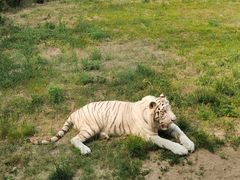 -济南野生动物世界