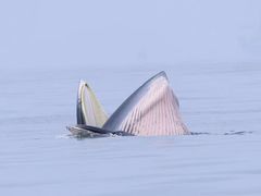 -涠洲岛南湾海洋运动公园